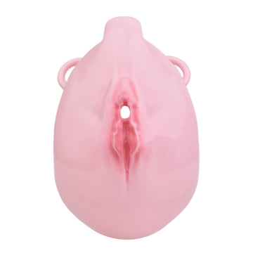 Cute Plastic Pussy Chastity Cage