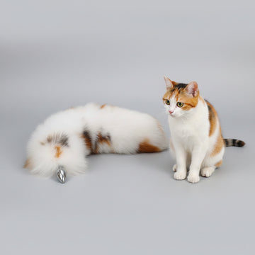 Cosplay Kitten Cat Tail Butt Plugs and Ear Set