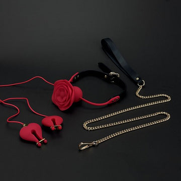 Rose Ball Gag with Vibrating Nipple Clamps Toy