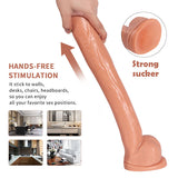 Load image into Gallery viewer, 16 inch Dildo Extra Long Large Dildo